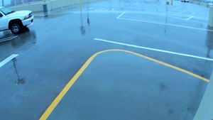 StreetBlowjobs: Tattooed Molly Rae craving plowing hard